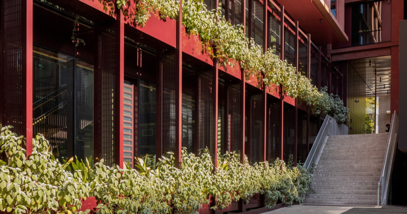 Iglu Mascot exterior